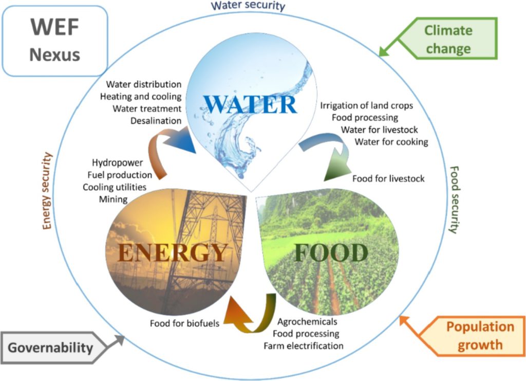 Figure 1. Summary of the water-energy-food (WEF) Nexus. Source: Mahlknecht et al, 2020