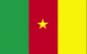 flag Cameroon