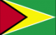 flag Guyana