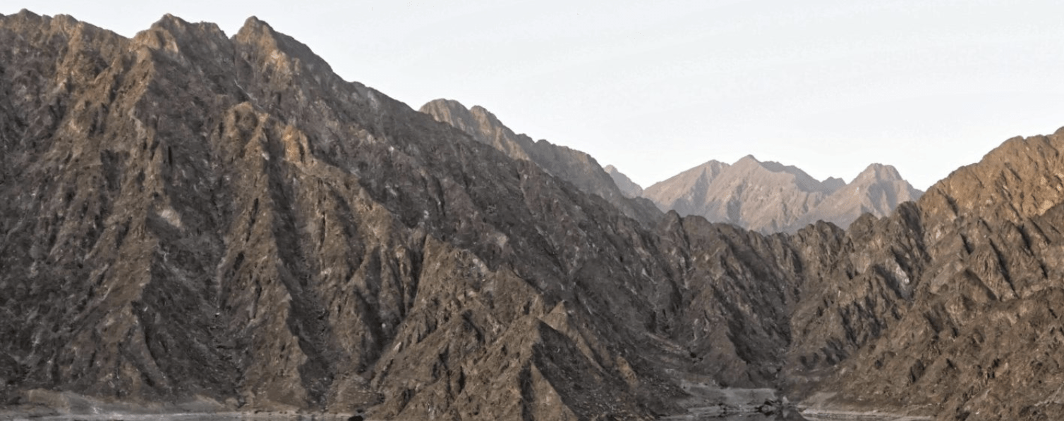 Strengthening Disaster Risk Governance