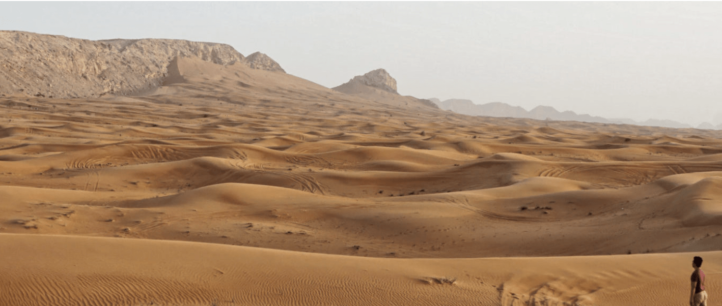 Data Sharing, Processing, and Management